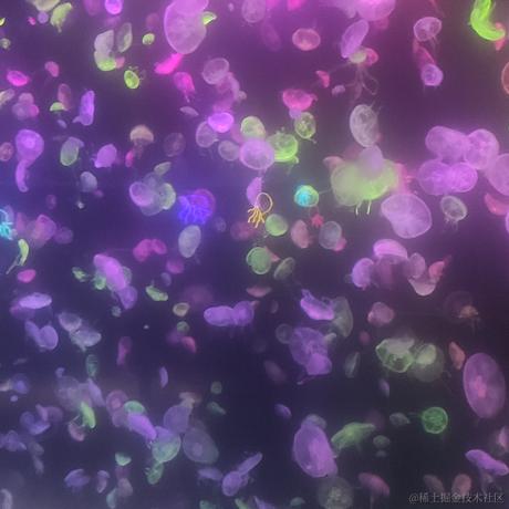 AS一个魂于2022-11-26 22:30发布的图片