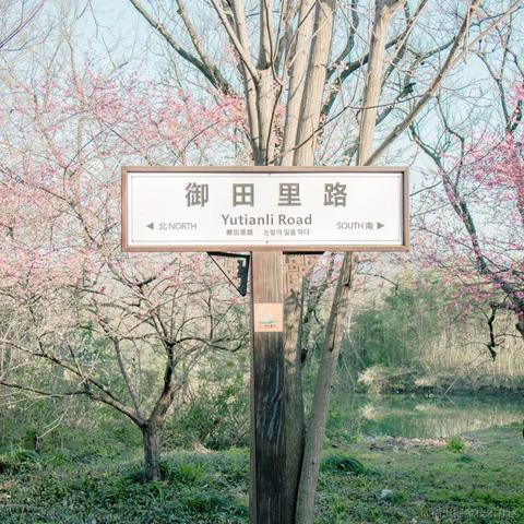 whp404于2023-05-12 15:31发布的图片