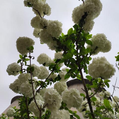 Sarah_于2024-05-28 08:54发布的图片