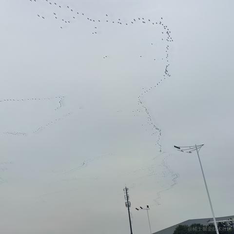 ButW1nd于2022-11-15 08:38发布的图片