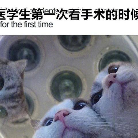 小渣同学于2021-09-24 06:53发布的图片
