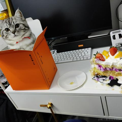 小鲁班的猫于2023-02-07 09:18发布的图片