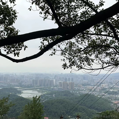 katie于2023-06-06 21:53发布的图片