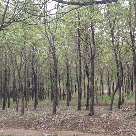 没得吃于2022-12-05 15:53发布的图片