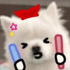 用户2469611626166于2022-11-16 22:55发布的图片