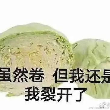 宁在春于2022-01-06 11:49发布的图片