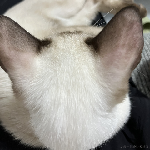 近战仙师于2022-09-20 10:49发布的图片