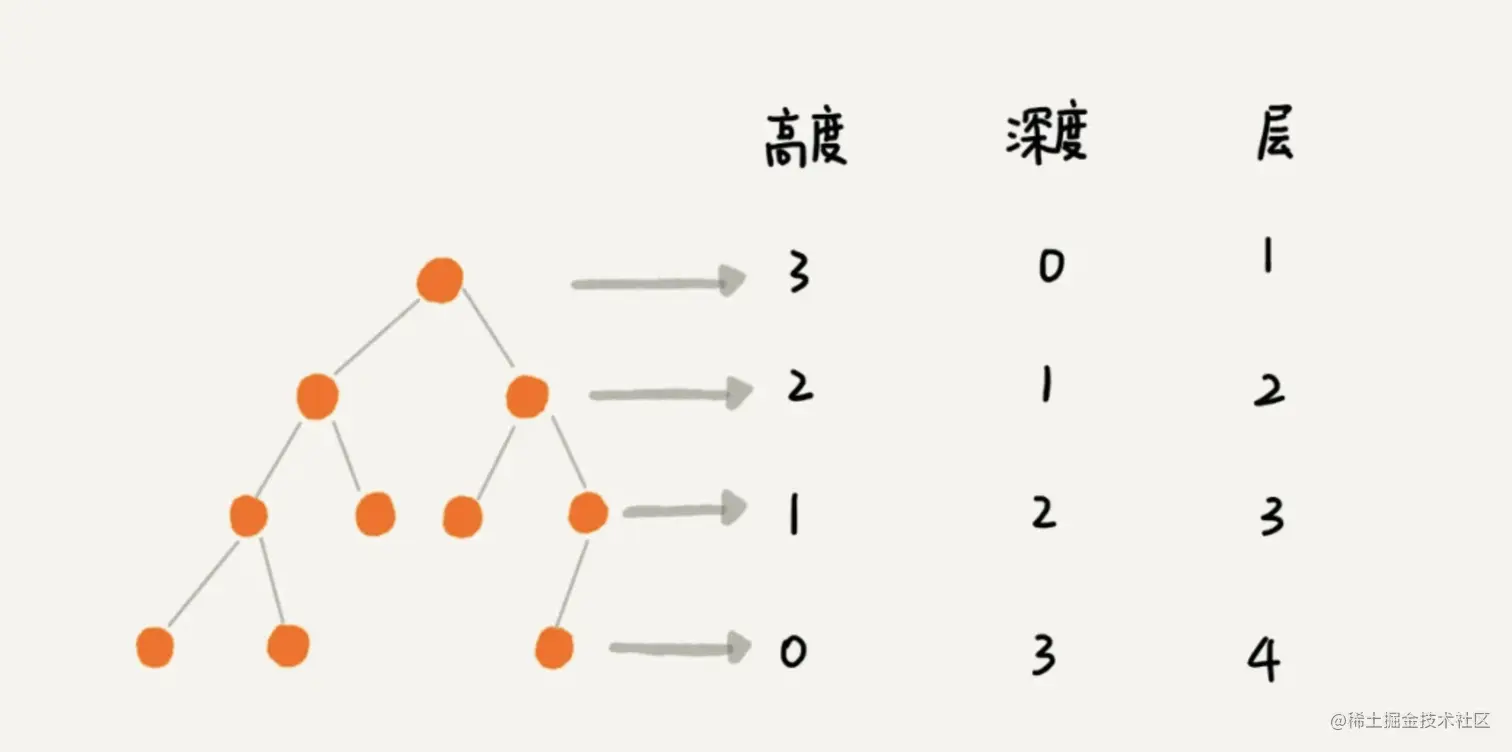 树的高度深度层-示意图.png