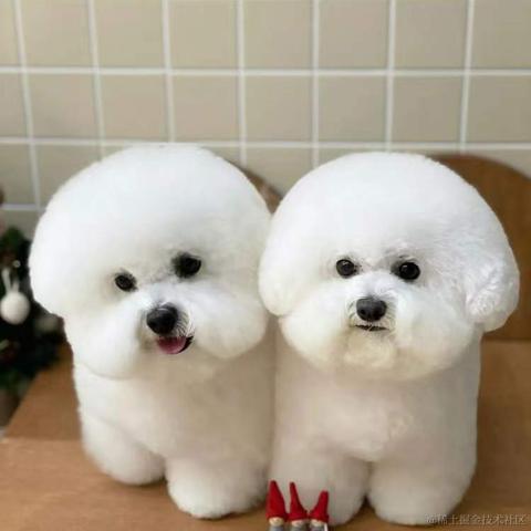 BooBoo于2021-12-26 17:26发布的图片