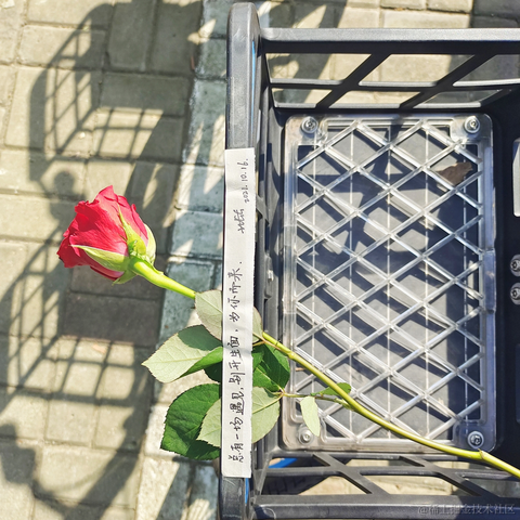 ank睡不醒于2023-05-07 23:49发布的图片