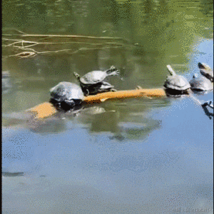 Daniel_01于2022-07-25 10:32发布的图片