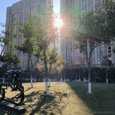 舞影天上于2022-12-11 11:26发布的图片