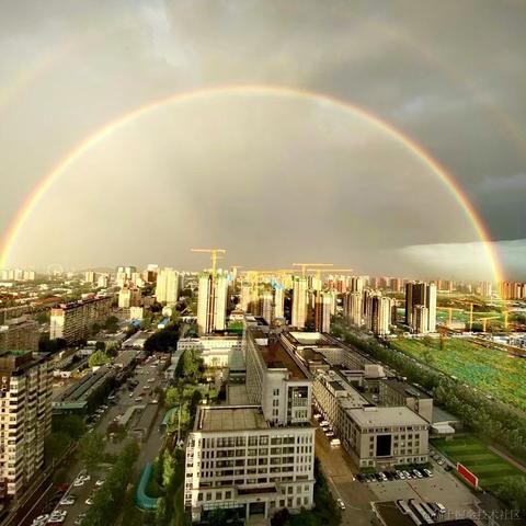 寒草于2021-08-27 23:44发布的图片