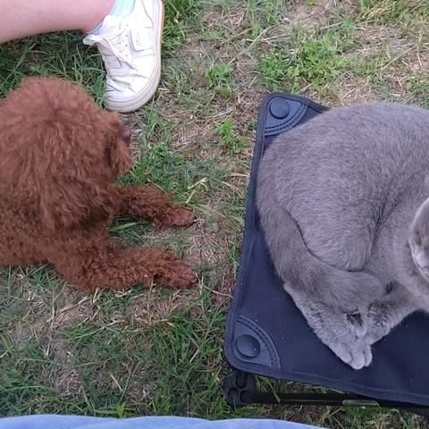 漾雾于2023-05-16 11:05发布的图片