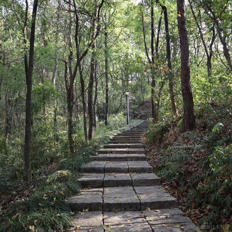 猪鼻小向晚于2023-07-09 21:25发布的图片