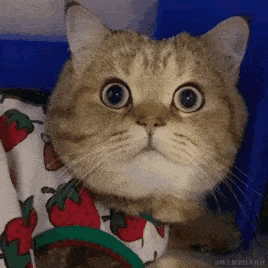 已注销于2022-01-06 12:17发布的图片