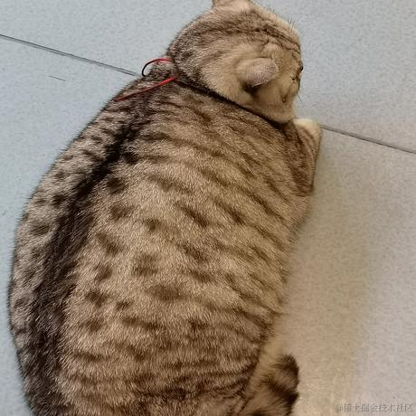 Emotion于2022-02-20 19:13发布的图片