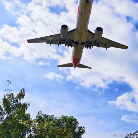 上东我阳仔于2023-01-25 22:31发布的图片