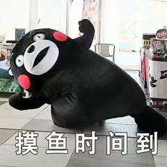 四月的花海于2022-06-22 08:57发布的图片