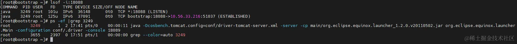 查看driver服务启动情况
