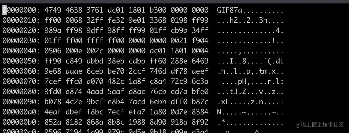 十六进制查看gif图片文件.png