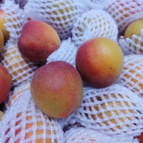 渡人先渡己于2023-06-13 17:01发布的图片