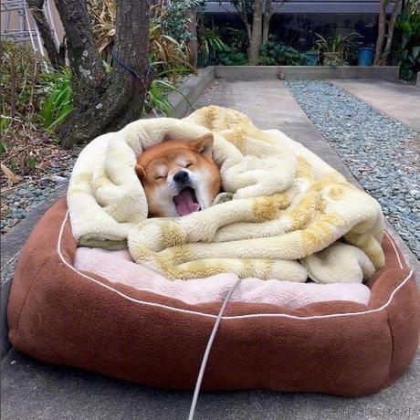 枝江大铲车于2022-11-19 17:32发布的图片