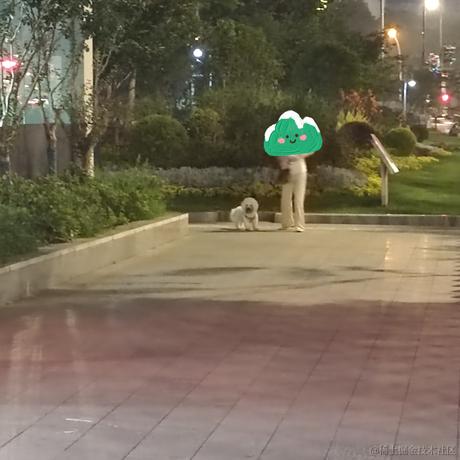 荒原挖不动于2023-06-21 22:16发布的图片