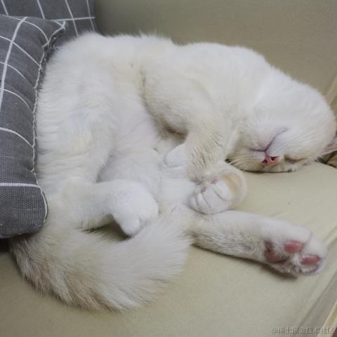 咩咩叫咩吖于2022-04-07 10:15发布的图片