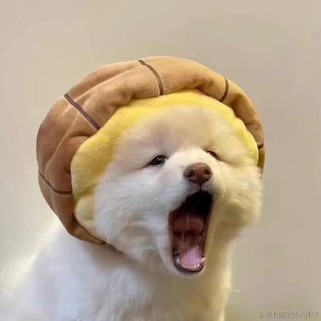 不打烊的肚肚于2022-12-08 16:52发布的图片