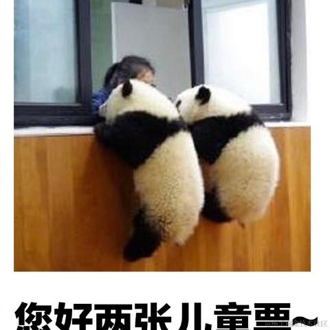 freecats08于2021-09-23 15:13发布的图片