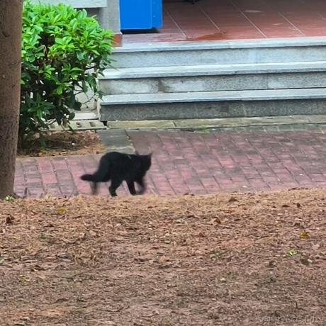 JZZZ于2022-12-06 21:50发布的图片