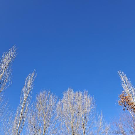 午夜狂鸽于2022-12-10 08:04发布的图片