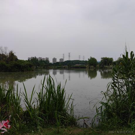 余静悦于2022-05-29 10:53发布的图片