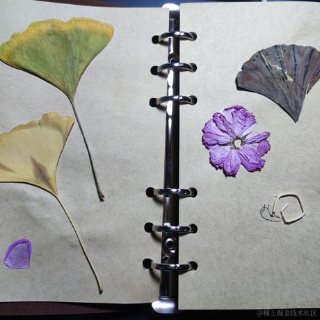 用户1253133568484于2023-04-11 20:41发布的图片