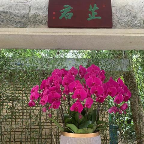 芊语Succ工具坊于2023-01-25 22:32发布的图片