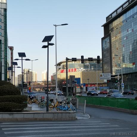 戴安娜小姐的狗于2022-12-20 08:24发布的图片