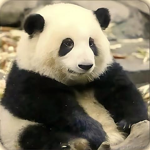 夏夜雨微凉于2023-06-05 07:18发布的图片