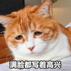 NAUY于2023-09-13 10:14发布的图片