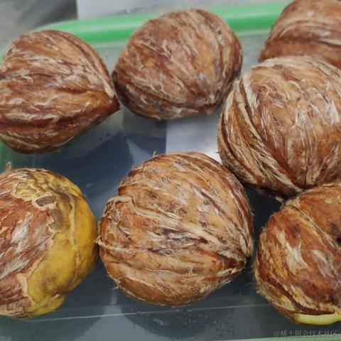 名字都不好起了于2022-11-09 21:31发布的图片