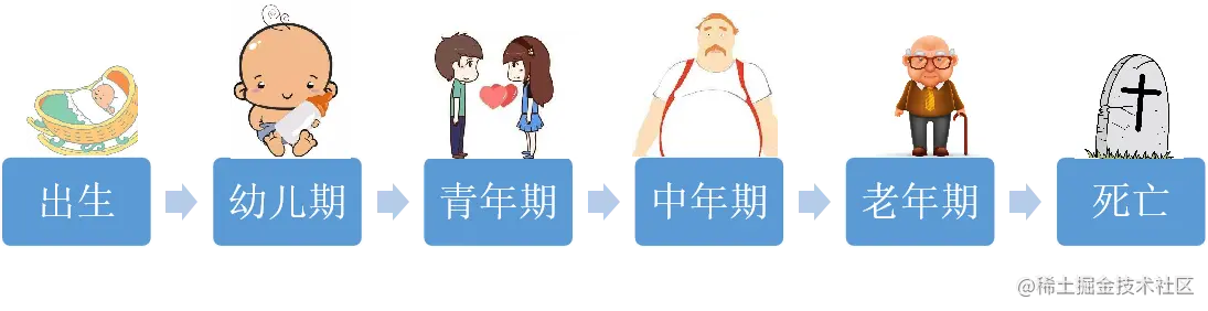 人的生命周期.png
