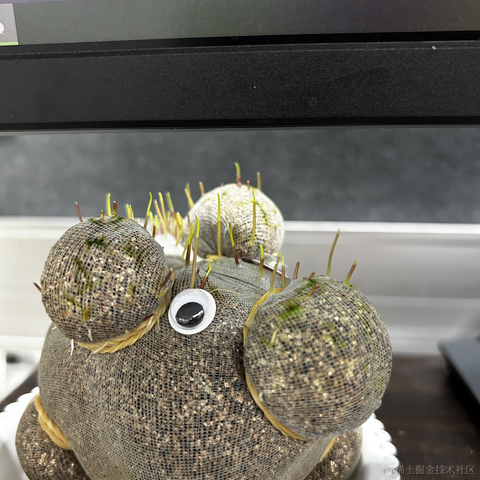 吾与徐公孰美耶于2024-05-24 14:07发布的图片