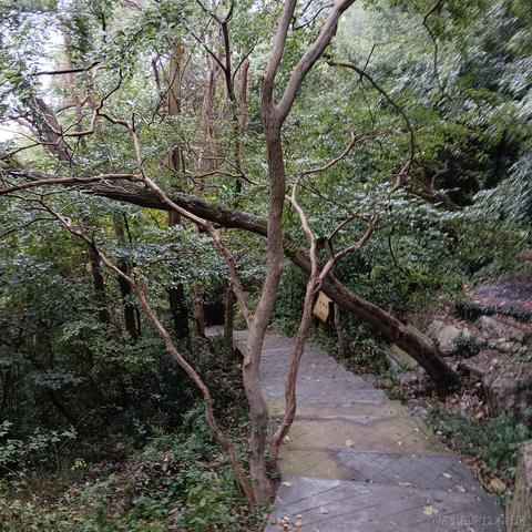 小方不会写代码于2022-10-05 21:44发布的图片