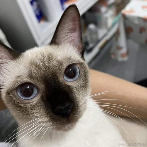 近战仙师于2022-09-20 10:49发布的图片