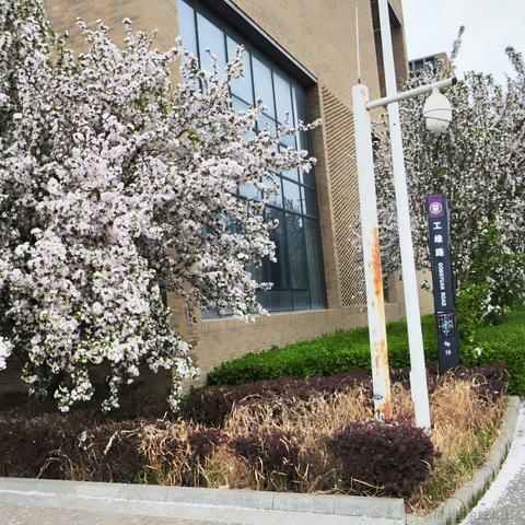 野味道峩少男于2023-04-07 23:59发布的图片