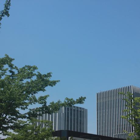 闲坐含香咀翠于2023-05-26 08:49发布的图片