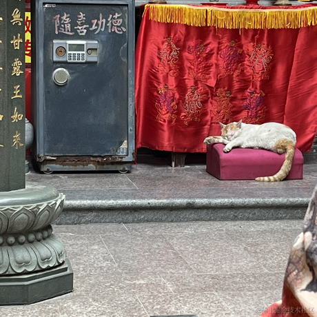 仙人加林于2024-05-10 18:18发布的图片
