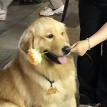 Rita今天学前端了吗于2023-04-14 22:52发布的图片