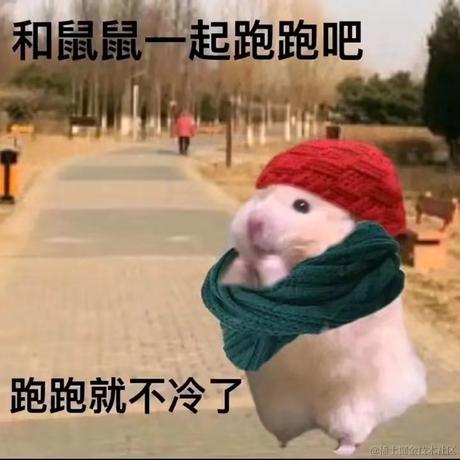 白马浅川于2022-12-13 13:22发布的图片