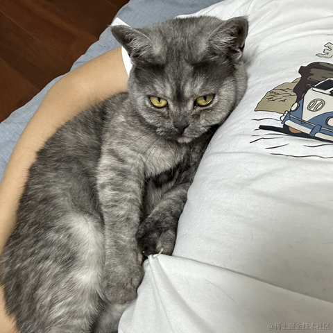 _Waldeinsamkeit_于2023-05-26 17:22发布的图片